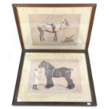 After Cecil Aldin (British, 1870-1935), two framed and glazed equestrian prints: 'Strength' and