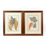 Pictures, to include: 1 botanical watercolour, framed and glazed, eight botanical prints,