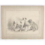 Nineteenth-century English School. Three Dogs. Charcoal on wove paper laid to card. Unsigned.