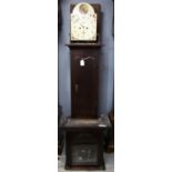 19th century eight day mahogany longcase clock, with twin train movement, the painted dial with a