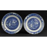 A pair of Chinese blue and white dishes . Qing dynasty painted with a branch of prunus blossom