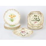 Set of three mid 19th century botanical painted plates with gilt borders, 22cm a similar dish 25 cm,