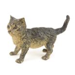 Bergmann style cold painted bronze figure of a cat, stamped Geschutzt, 12 cm high