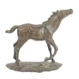 Small bronze casting of a foal, 23 x 23 x 10 cm.