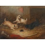 George Armfield (British, 1808-1893), terriers around a wasp's nest, oil on canvas, signed 'G.