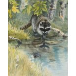 John Davis (b.1956). Racoon and Frog at a Woodland Pool. Gouache, no visible signature. 57 x 45cm.