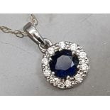 Sapphire & white stone pendant with 375 gold chain