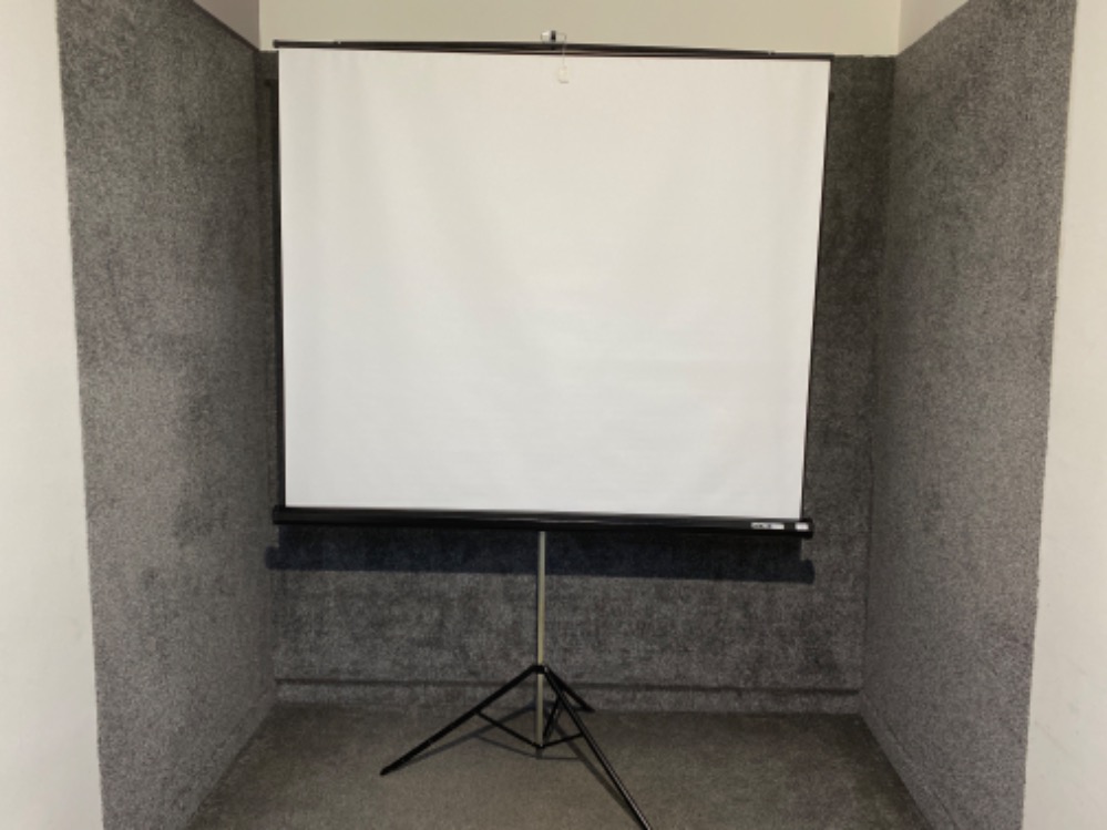 Large Harkness Hall “Miralyte” folding projector screen. (Display Screen roughly 90”)