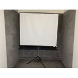 Large Harkness Hall “Miralyte” folding projector screen. (Display Screen roughly 90”)