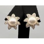 Ladies 14ct white gold Pearl and diamond flower earrings. Pearl set with 35 round brilliant cut