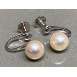 9ct white gold & Pearl earrings, 2g gross