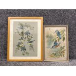 Paul A Nicholas original paintings of birds both signed bottom right.