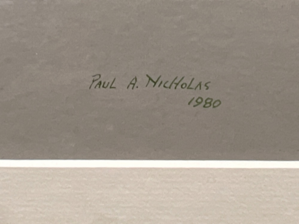 Paul A Nicholas original paintings of birds both signed bottom right. - Image 4 of 5