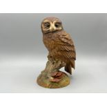 Anysley “The Tawny Owl” 1978 signed by John Anysley