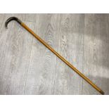 An early 20th century walking cane with horn handle and white metal collar