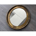 Edwardian gilt framed oval mirror (66cm x 76cm)