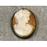 Rolled gold shell cameo brooch