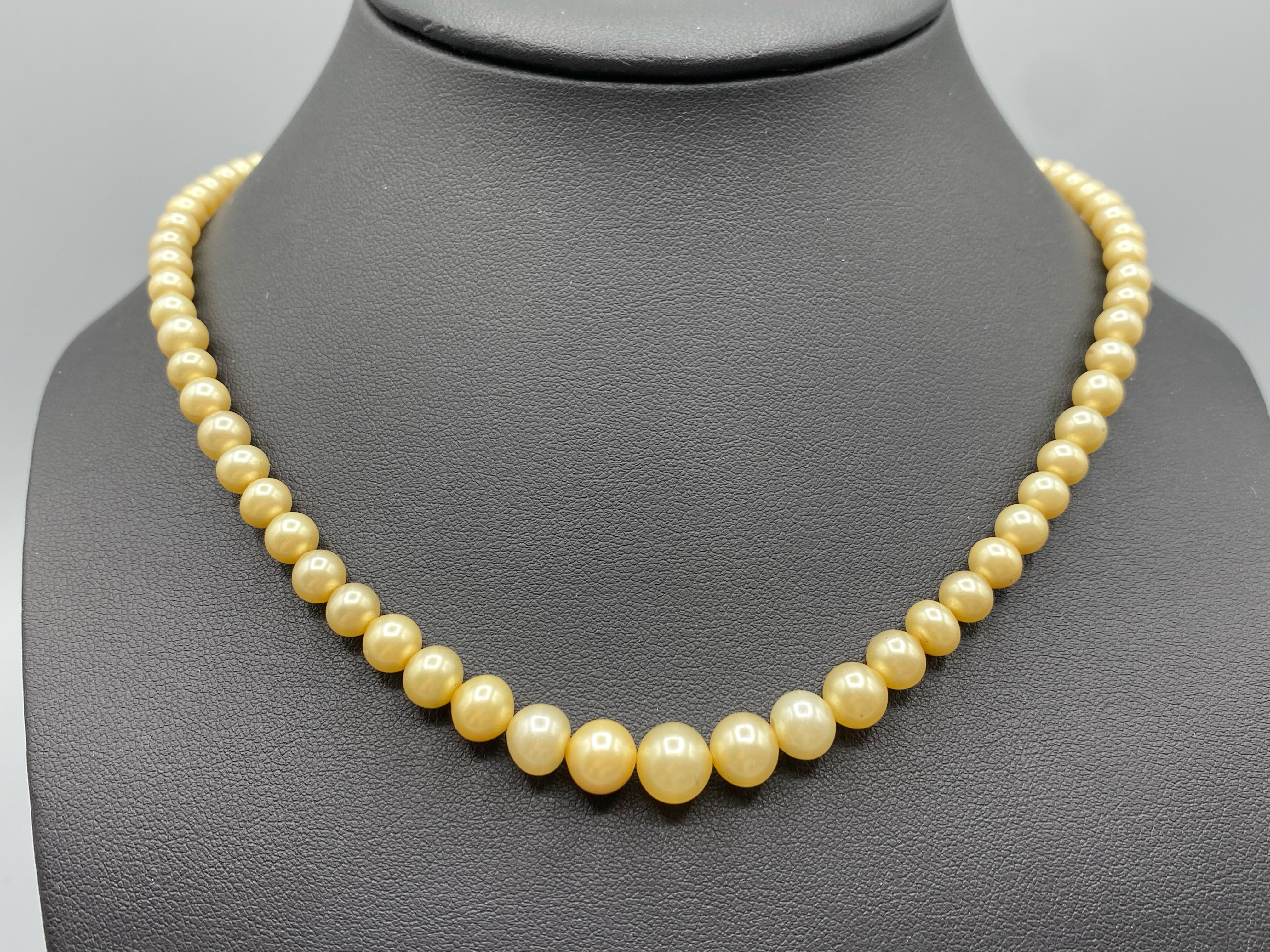 Antique Edwardian Pearl Necklace with 9ct Gold Clasp 63cm in length - Image 3 of 4