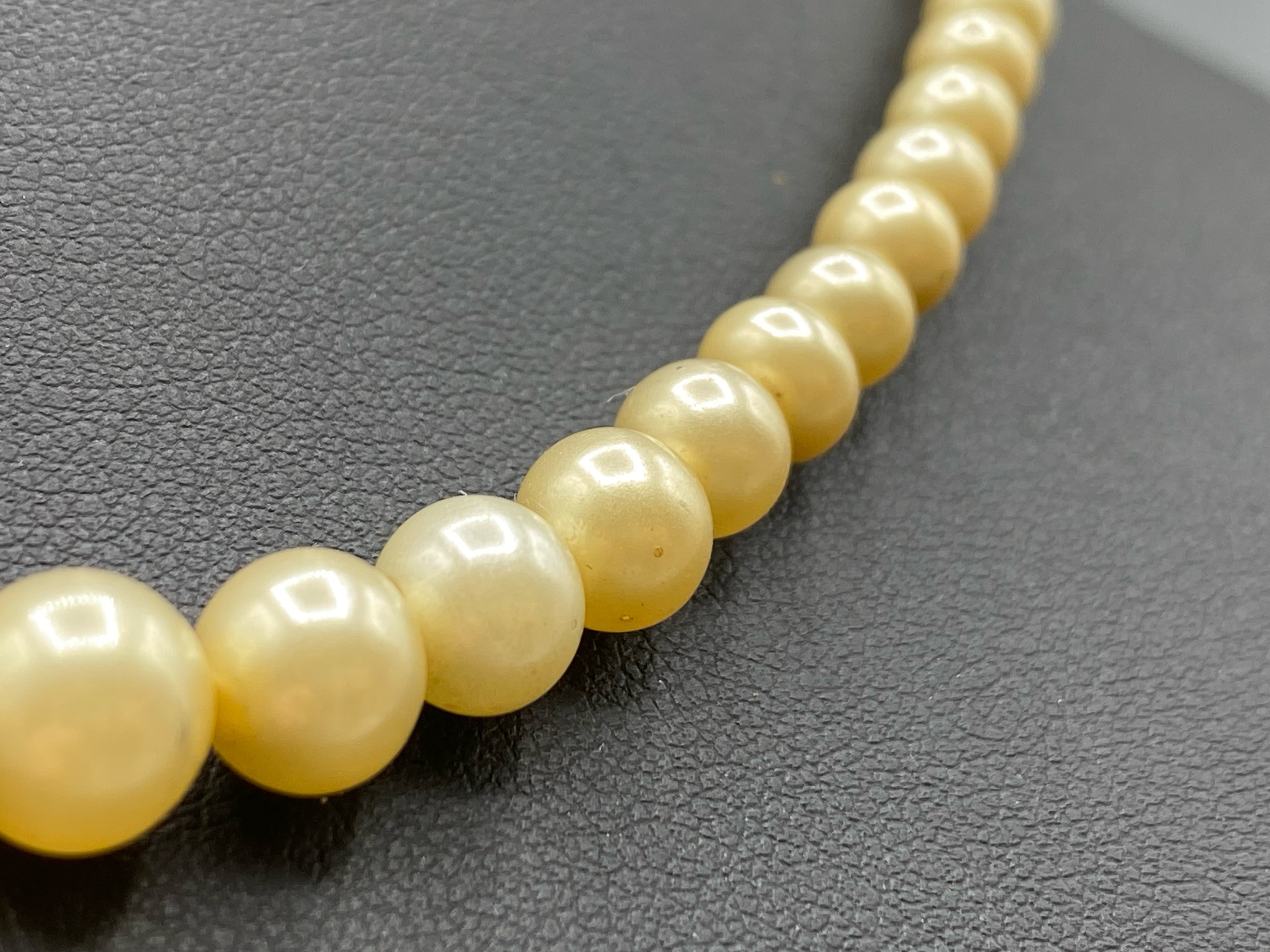 Antique Edwardian Pearl Necklace with 9ct Gold Clasp 63cm in length - Image 2 of 4