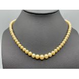 Antique Edwardian Pearl Necklace with 9ct Gold Clasp 63cm in length