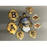 Justice truth Philanthropy Barnard castle lodge UK, plus Royal Antediluvian medals etc