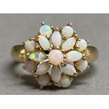 9ct gold 17 stone Opal cluster ring - size L1/2, 2.7g gross