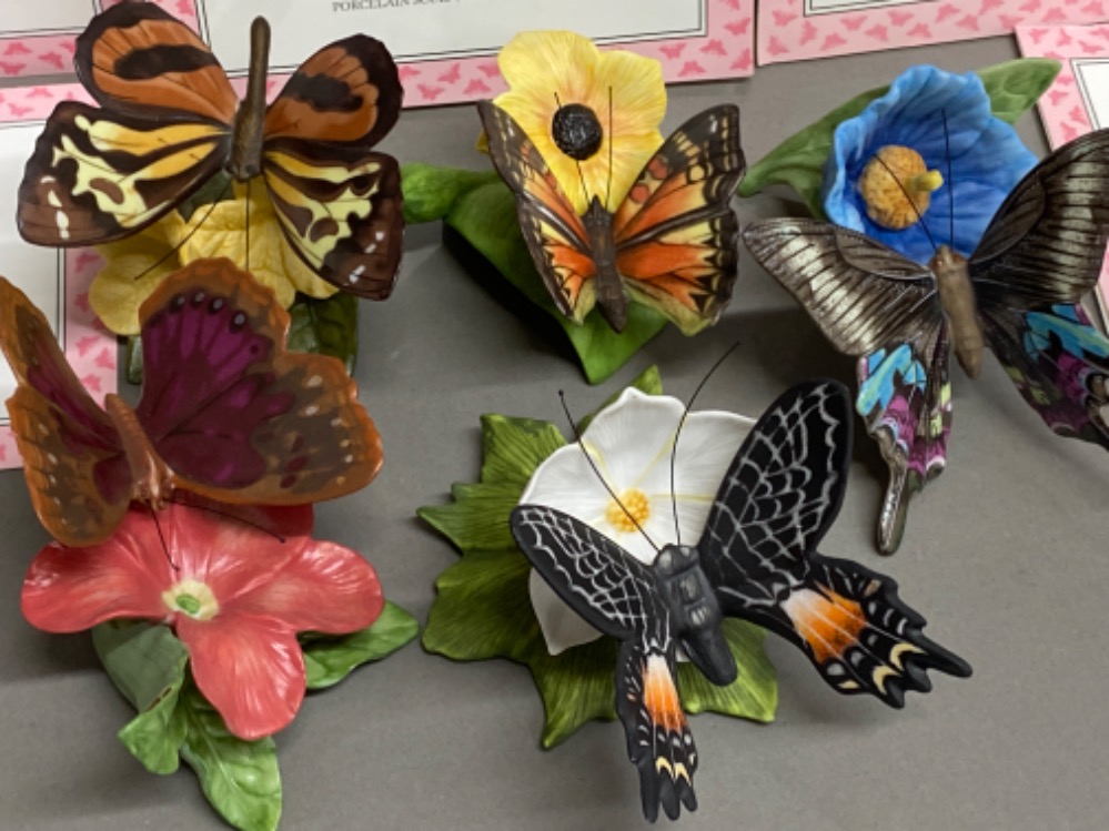 Total of 5 Franklin Mint butterflies of paradise porcelain sculptures including The Forest Beauty, - Image 2 of 2