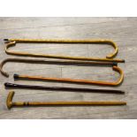 Mixture of walking sticks and walking canes