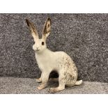 Large Winstanley Arctic Hare “size 9” signed on base (height 37cm)