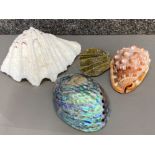 Lot comprising of 4x different sea shells including Paua shell etc