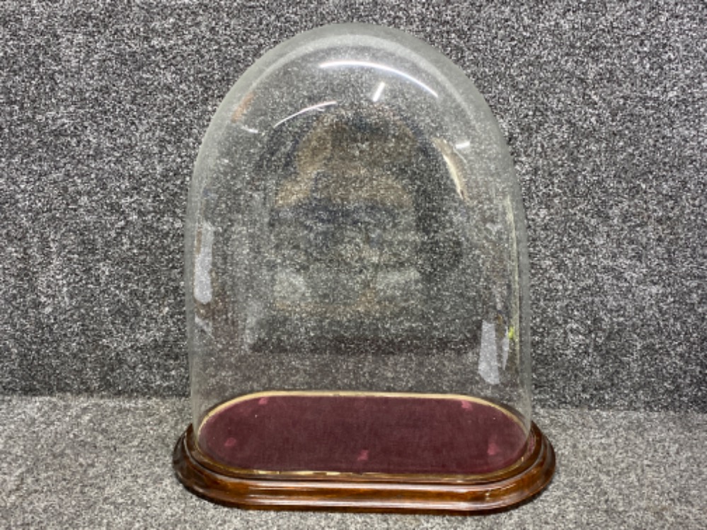 Large antique glass dome display with original wooden base