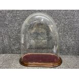 Large antique glass dome display with original wooden base