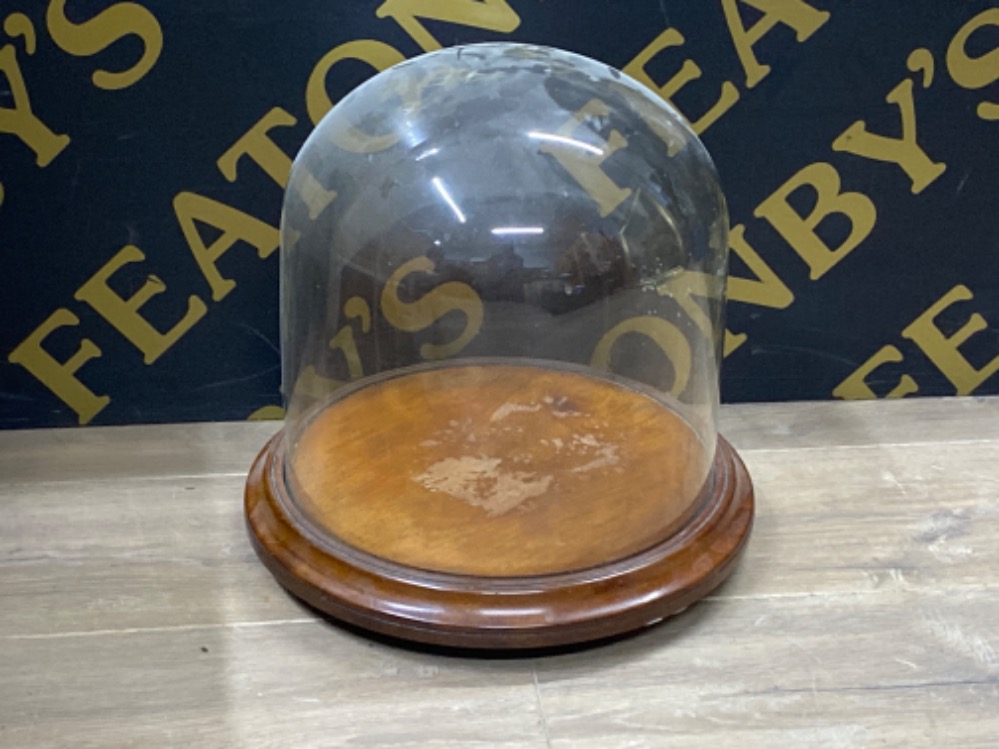 Large Victorian glass dome display stand 36cm x 35cms
