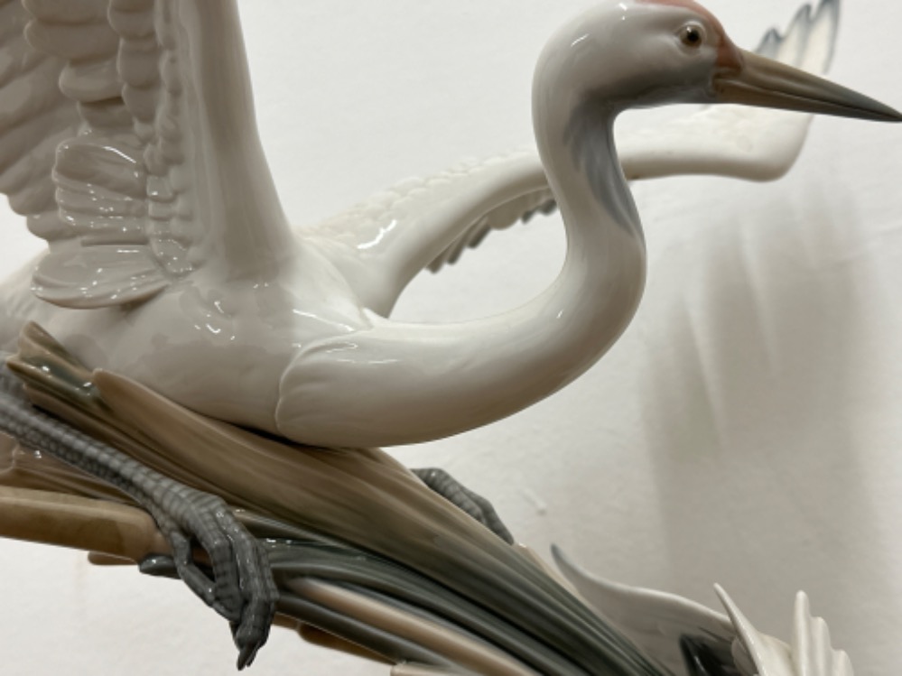 Large Lladro “Cranes” figure 1456 Salvador Debon, with wooden base, good condition, H51cm X W43cm - Image 3 of 3