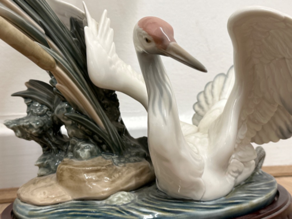 Large Lladro “Cranes” figure 1456 Salvador Debon, with wooden base, good condition, H51cm X W43cm - Image 2 of 3