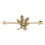 An early 20th century 9ct gold gold seed pearl bar brooch, depicting an oak leaf and acorns.