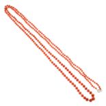 An early 20th century coral bead necklace, with 9ct gold clasp.
