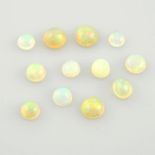 Twelve circular shape opals, weighing 3.75ct