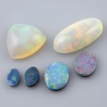 Five vari-shape opals and eleven opal doublet, 43.89ct