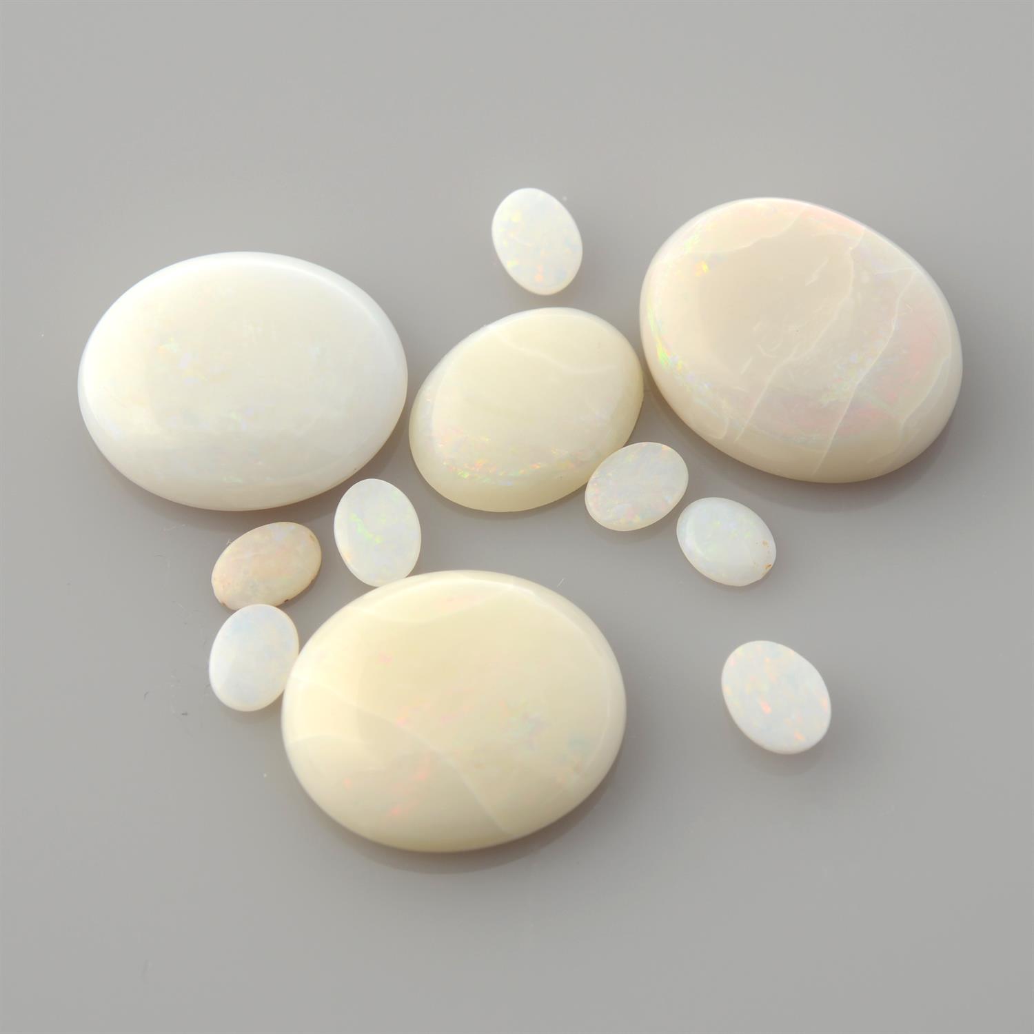 Selection of oval shape opals, weighing 110.17ct