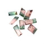 Selection of rectangular shape bi colour tourmaline, weighing 30.47ct