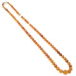 A single-strand amber bead necklace.