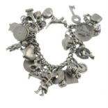 A charm bracelet, suspending various charms.