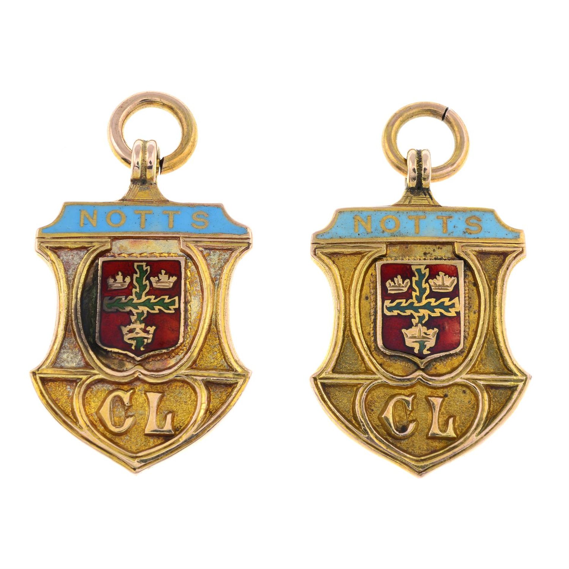 Two early 20th century 9ct gold and enamel medallions.