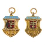 Two early 20th century 9ct gold and enamel medallions.