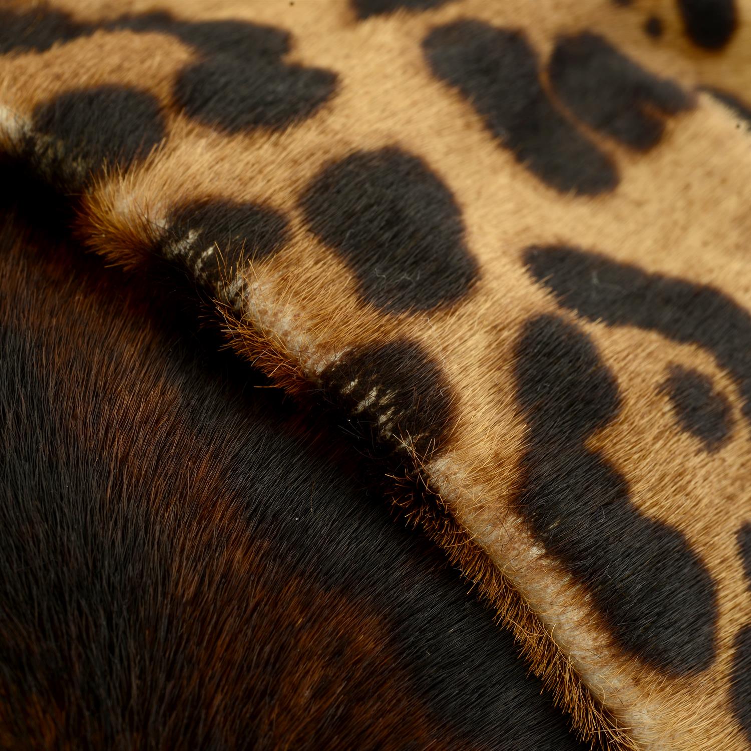 CHRISTIAN LOUBOUTIN - a Leopard print pony fur clutch. - Image 5 of 5