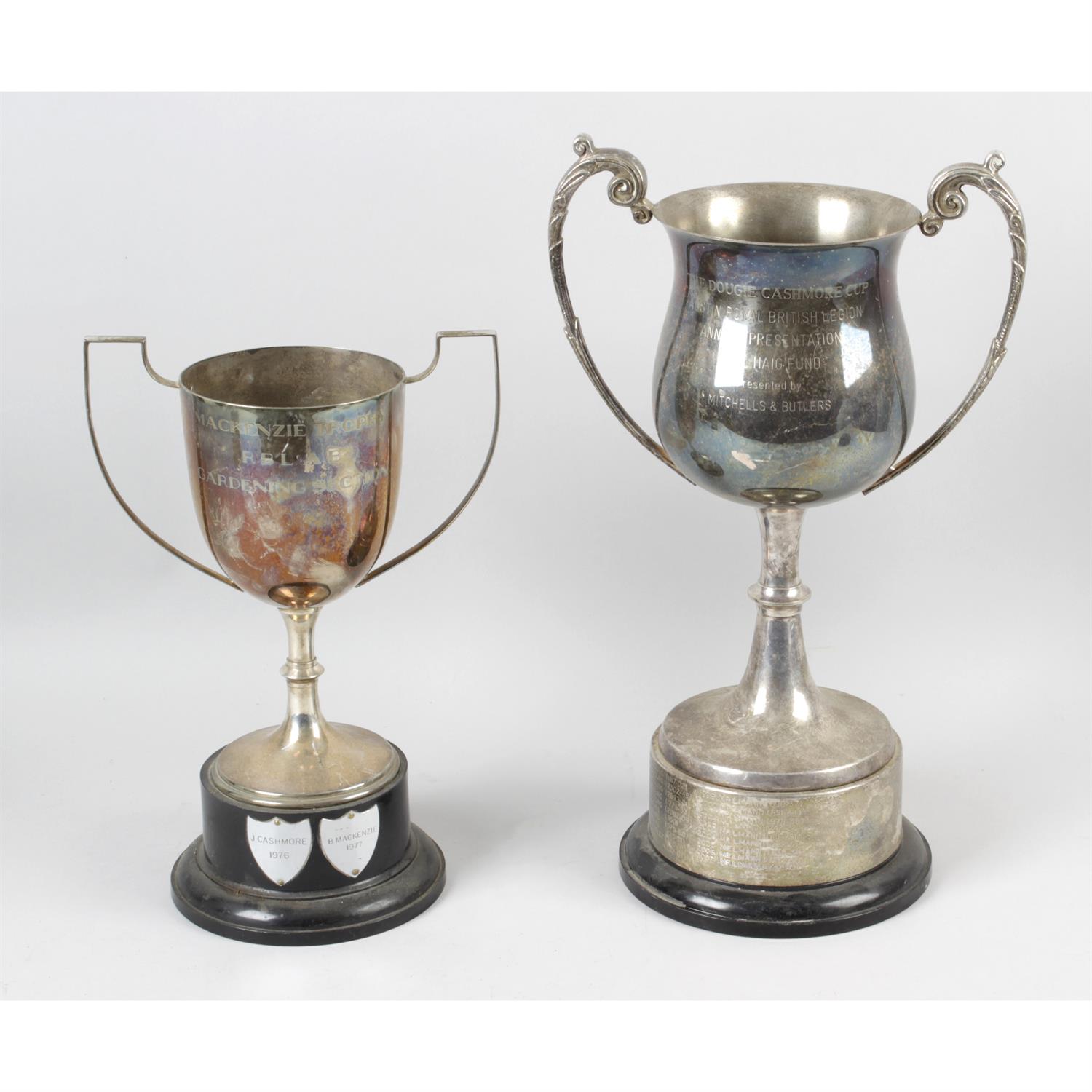 A large mixed selection of assorted silver plated items, including trophies, etc.