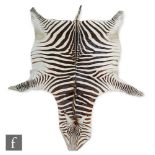 A zebra skin rug, length from nose to tip of tail 295cm and approximately 206cm across the front