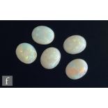 Five loose cut and polished oval opals, each approximately length 12mm x 10mm x 3mm. (5)