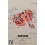 Two 1960s medical wall charts, to include German 1960s pull down wall medical chart, 'Nerve Tissue',